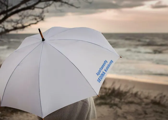 Sedina E306 Park Polanki